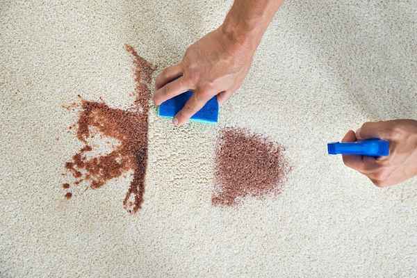 WOW Carpet Cleaning Melbourne - Cleaning Services In Richmond