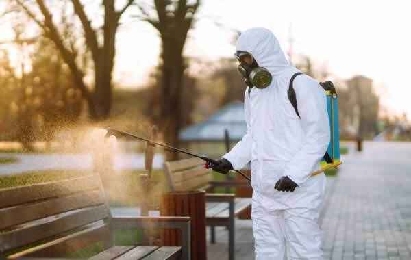 Pro Pest Control Sydney - Pest Control In Sydney