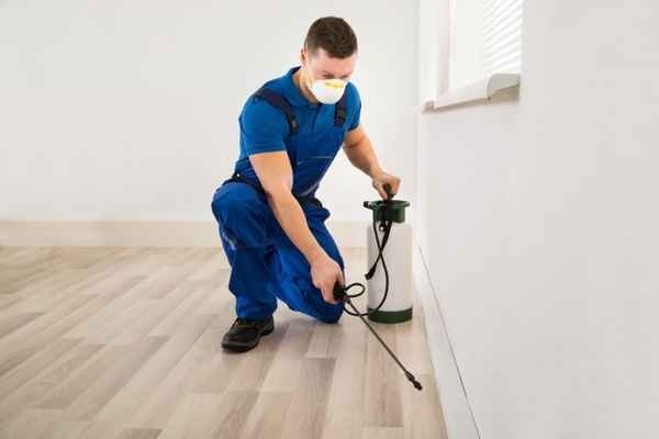 Savige Pest Control - Pest Control In Ipswich