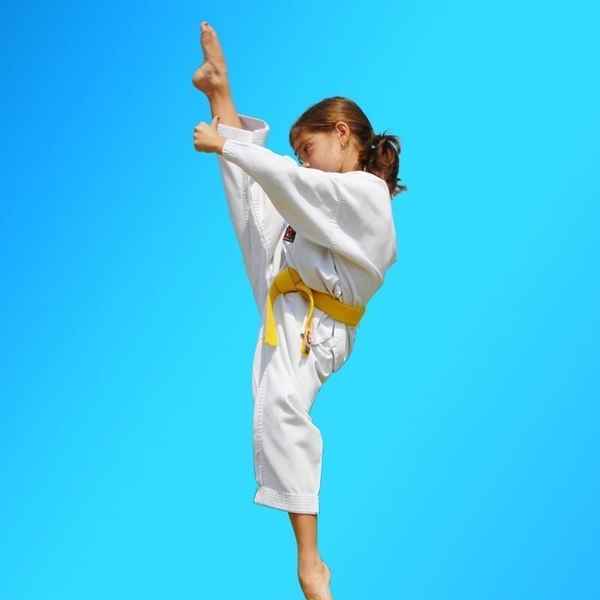 Pinnacle Martial Arts in Earlwood - Martial Arts Schools In Earlwood