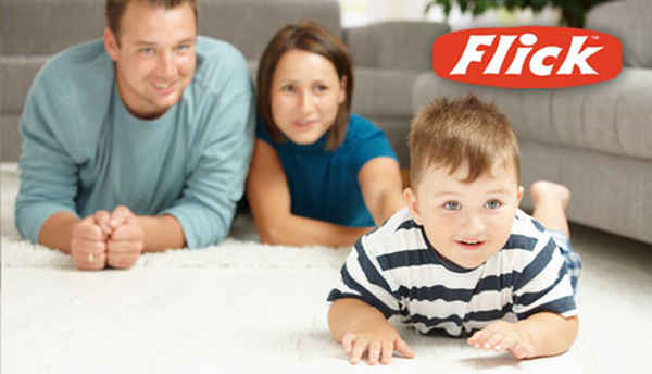 Flick Pest Control Sydney - Pest Control In Homebush West