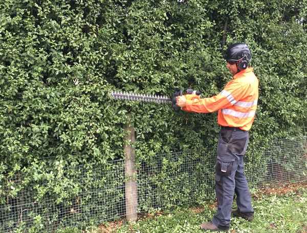 Arbator Tree Services - Tree Surgeons & Arborists In Warrnambool