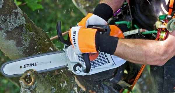 Arbator Tree Services - Tree Surgeons & Arborists In Warrnambool