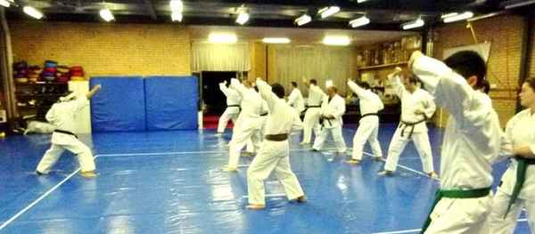 Japanese Academy of Martial Arts - Sydney - Martial Arts Schools In Sydney