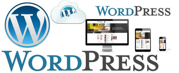 Digital Web Sydney - Web Designers In Arncliffe