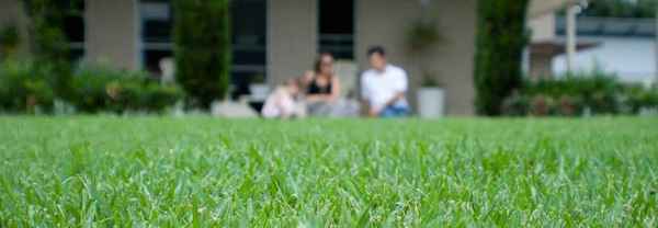 Australian Lawn Concepts - Landscaping In Boyland