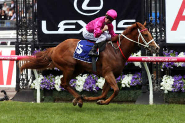 Regal Bloodstock - Horses & Equestrians In Randwick