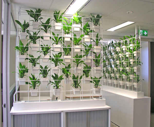 Green Design - Indoor Plant Hire - Indoor Home Improvement In Somersby
