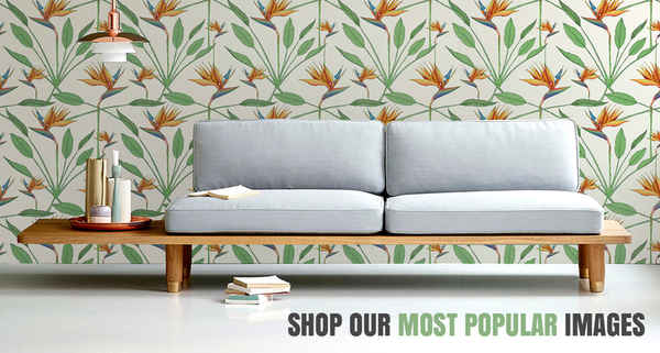 Luxe Walls - Home Decor Retailers In Redfern