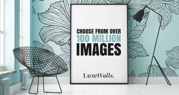 Luxe Walls - Home Decor Retailers In Redfern