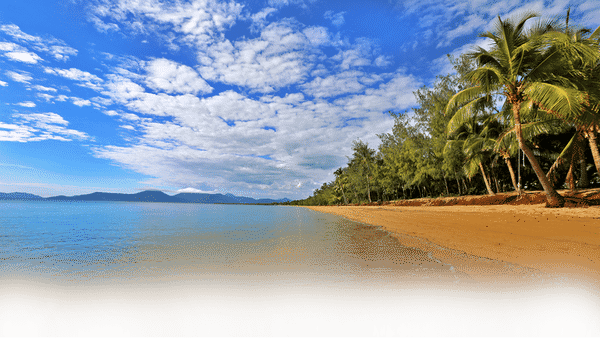 FNQ Apartments - Travel & Tourism In Mount Sheridan