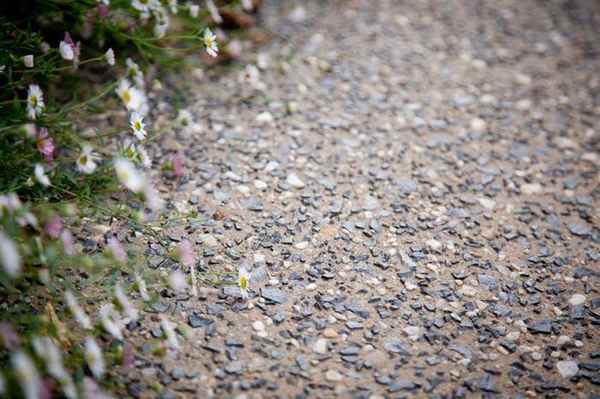 Simply Driveways - Concrete & Cement In Wallan