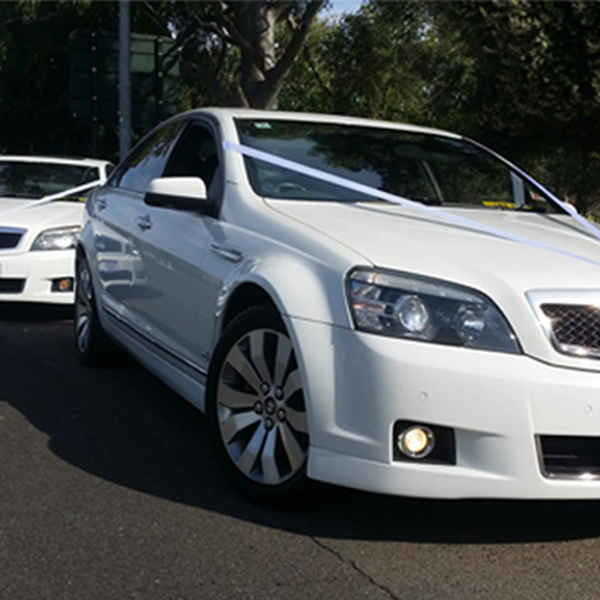 Maxi Limo SA - Wedding Supplies In Thebarton