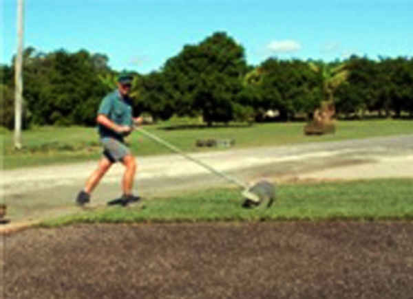 Daleys Turf - Gardeners In Bells Creek