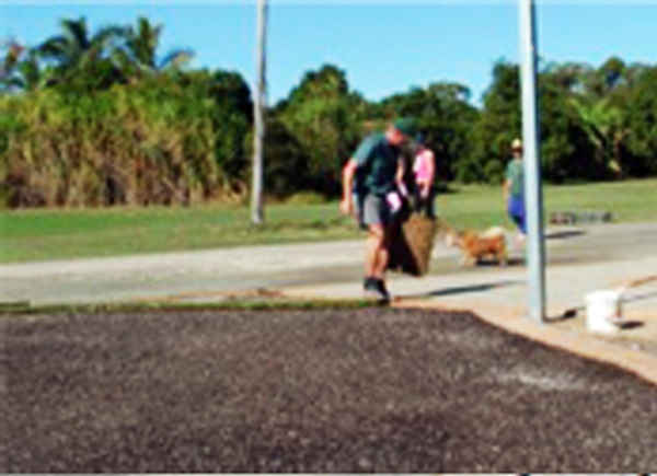 Daleys Turf - Gardeners In Bells Creek