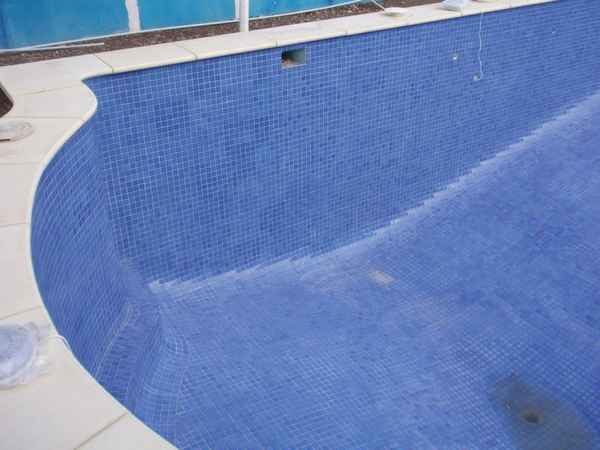 Thompson Landscaping & Pool Coping - Landscaping In Fulham Gardens 5024