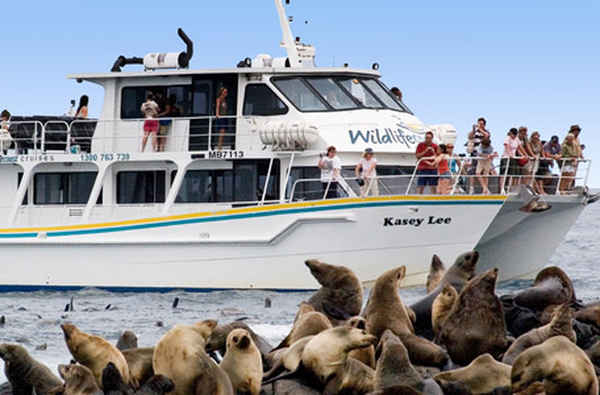 Wildlife Coast Cruises - Travel & Tourism In Cowes