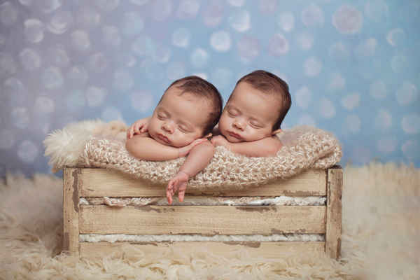 Lauren Jones Photography ~ Newborn & Family Photographer - Photographers In Nelson Bay