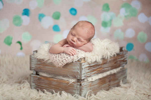 Lauren Jones Photography ~ Newborn & Family Photographer - Photographers In Nelson Bay