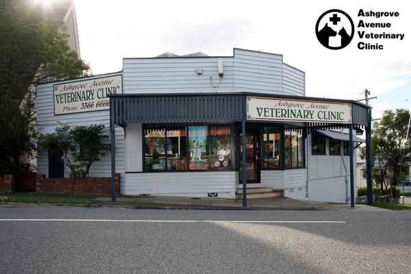 Ashgrove Avenue Veterinary Clinic - Veterinarians In Ashgrove