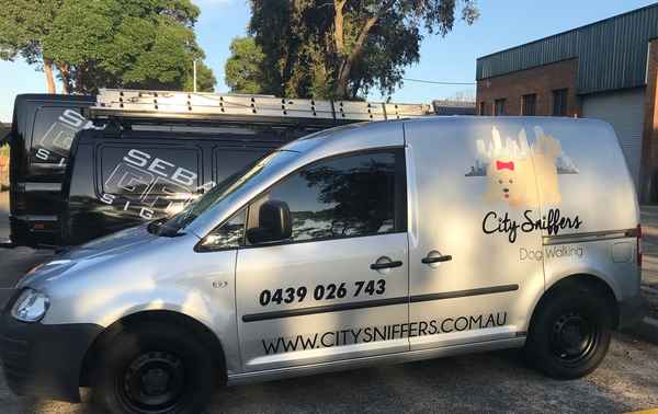 City Sniffers Dog Walking - Dog Walkers In Marrickville 2204