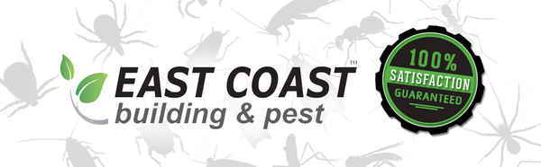 East Coast Building and Pest  - Pest Control In Runaway Bay 4216