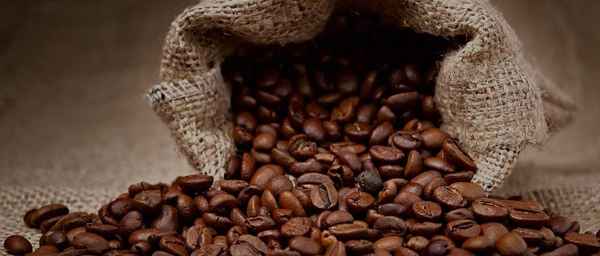 The Coffee Pot Australia - Coffee & Tea Suppliers In Balmoral Ridge 4552