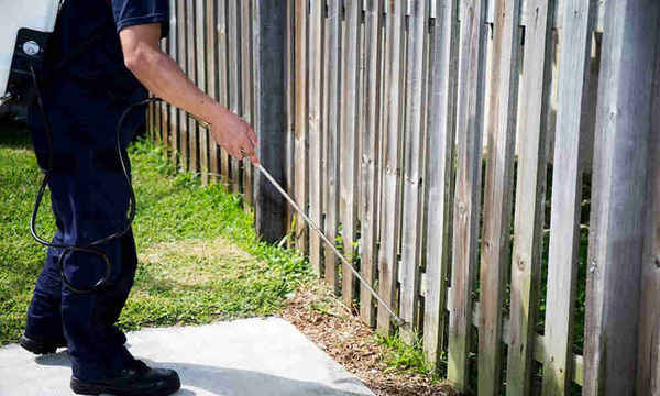 EPM Pest Control Brisbane - Pest Control In Brisbane City