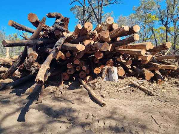 Reid’s Rural Timber - Timber & Forestry In Leyburn