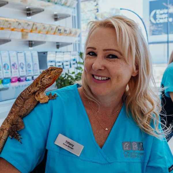 Challenger Veterinary Hospital - Veterinarians In Kwinana Town Centre