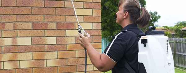 A1 Pest Management - Pest Control In Morayfield