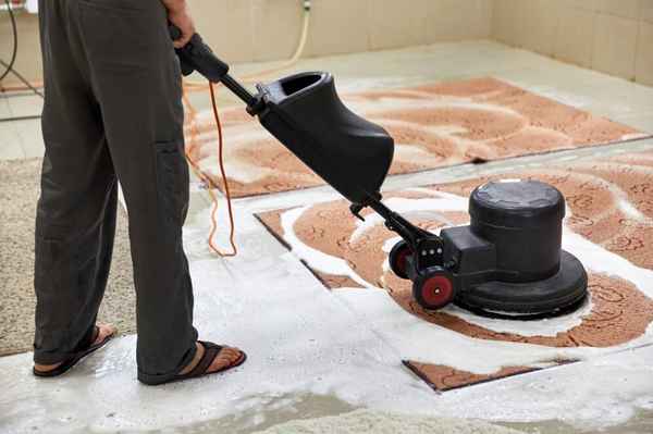 WOW Carpet Cleaning Sydney - Cleaning Services In Sydney