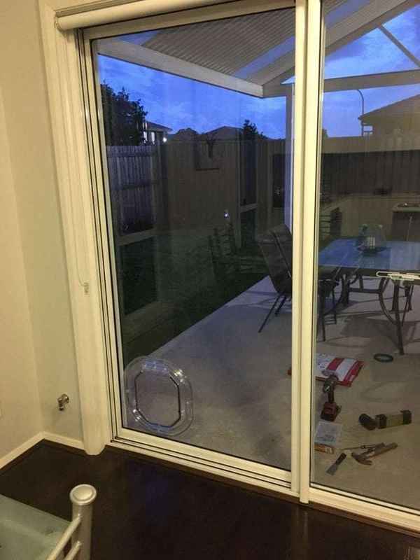 Sydney Wide Pet Doors - Pet Shops In Penshurst