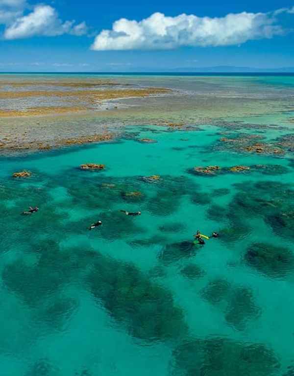 ABC Scuba Diving - Travel & Tourism In Port Douglas