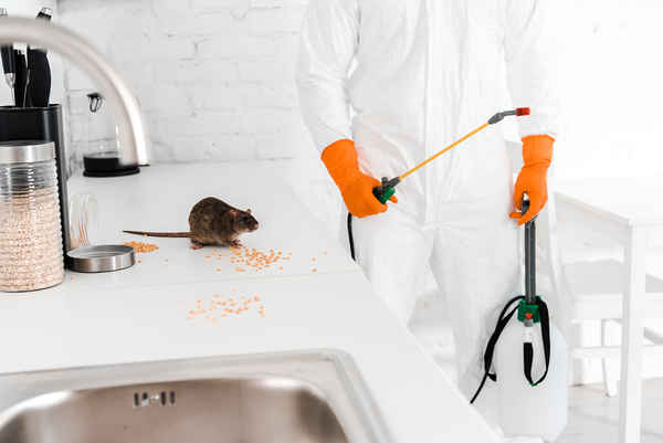 Trust Pest Control Melbourne - Pest Control In Richmond