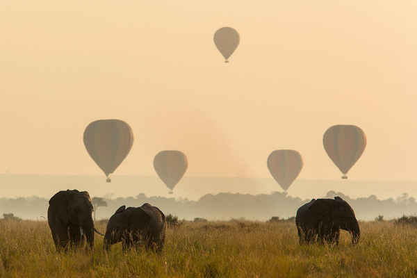 Kenya Tanzania Safari - Tours In South Melbourne