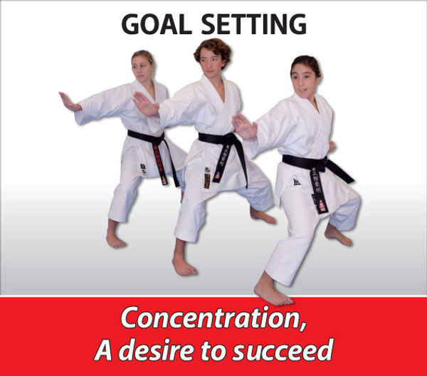 Yoseikan-Ryu Karate - Martial Arts Schools In Malaga