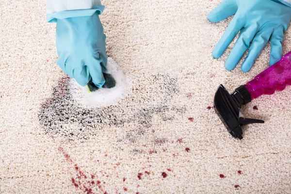 WOW Carpet Cleaning Melbourne - Cleaning Services In Richmond