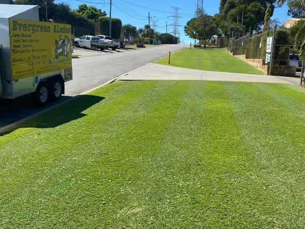 Evergreen Blades Pty Ltd - Gardeners In Cooloongup