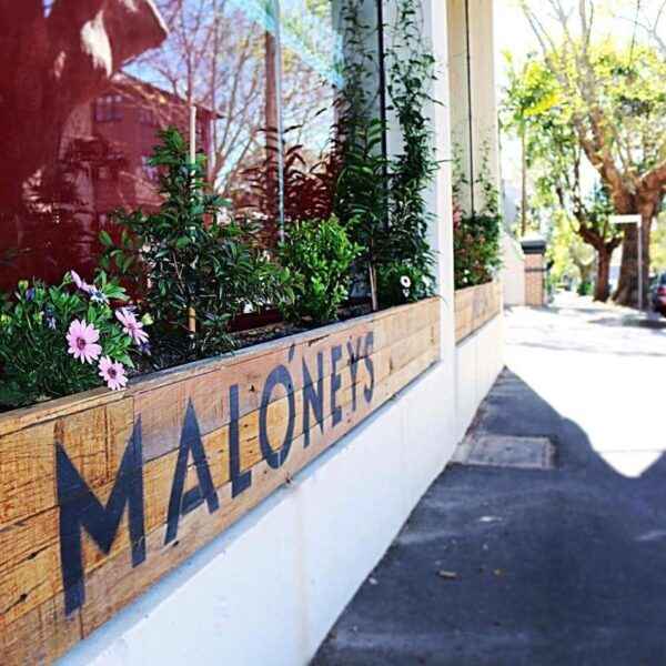 Maloneys Grocer - Supermarket & Grocery Stores In Surry Hills