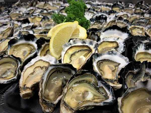 Coffs Harbour Fishermen’s Co-operative - Seafood In Coffs Harbour