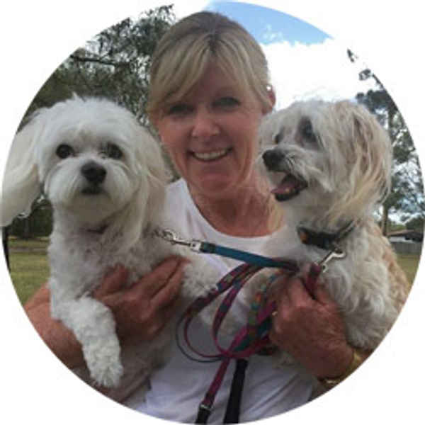 Gold Coast Pet Centre - Pet Care In Tallebudgera Valley