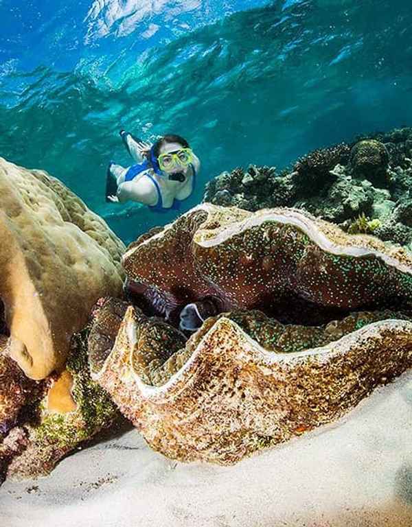 ABC Scuba Diving - Travel & Tourism In Port Douglas