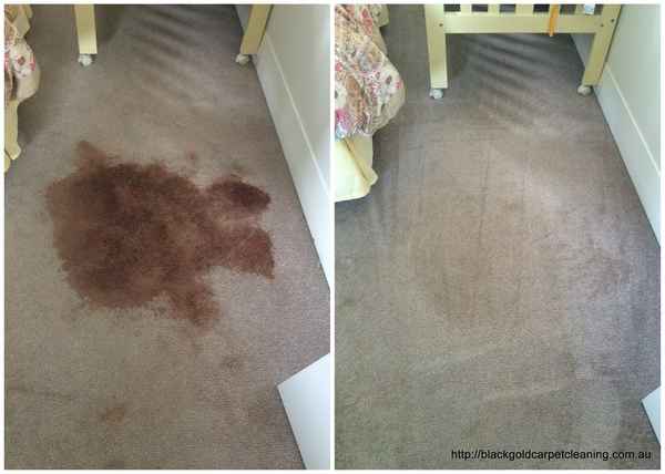 Black Gold Carpet Cleaning - Home Services In Carnegie
