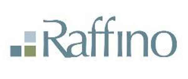 Raffino Business Coach Brisbane - Business Consultancy In Underwood