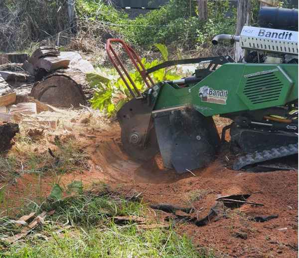 Gold Coast Stump Busters - Tree Surgeons & Arborists In Gaven