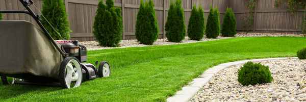 Lawn Street - Gardeners In Sydney