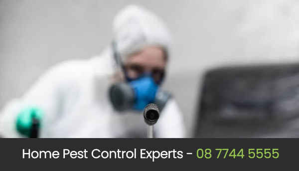 Eco Pest Control Perth - Pest Control In West Perth