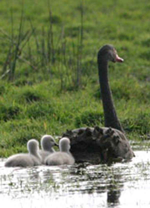 King Island Tours - Tours In Grassy