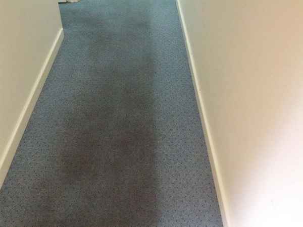 Commercial Carpet Cleaning Perth - Cleaning Services In North Perth